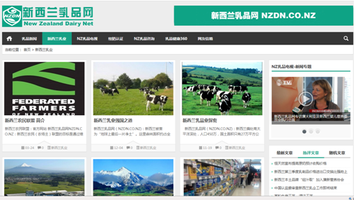 NZ Dairy